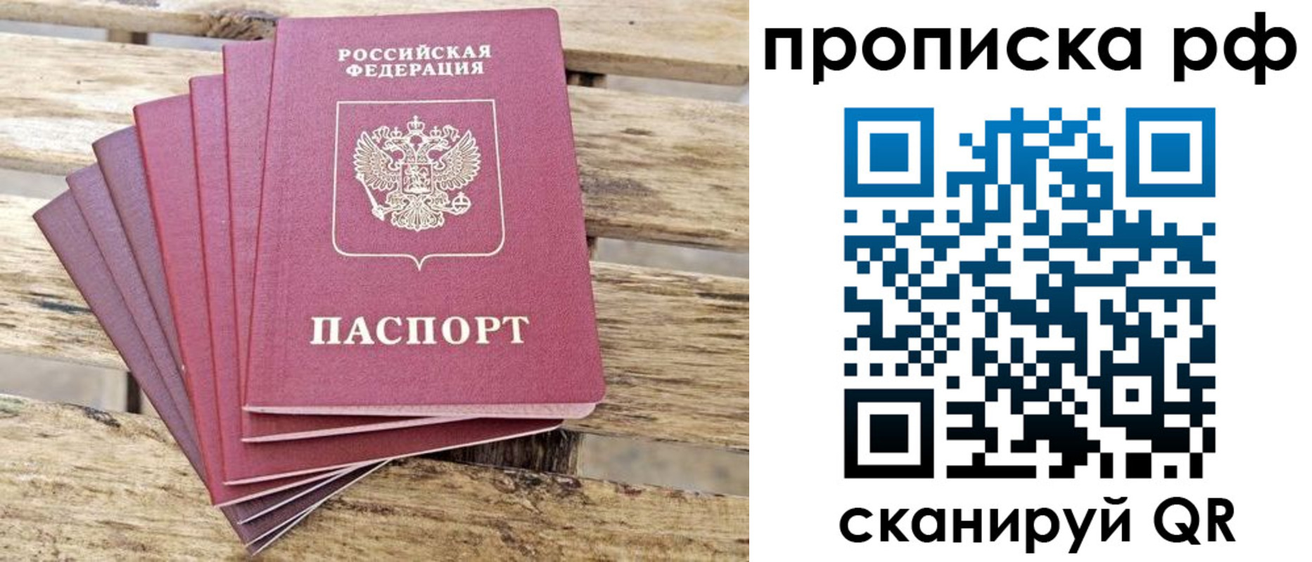 прописка гарантия в Невеле